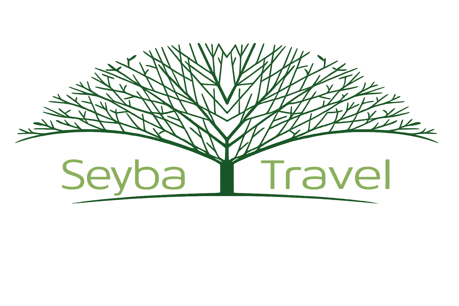 Seyba Travel